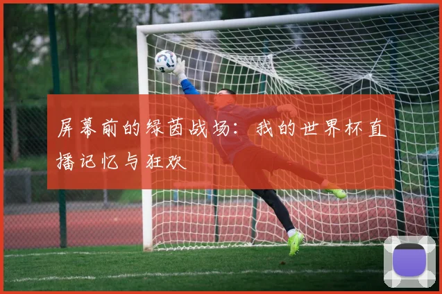 屏幕前的绿茵战场：我的世界杯直播记忆与狂欢