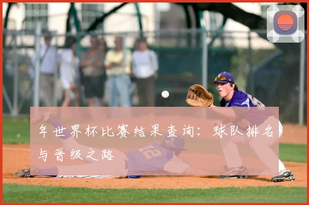 年世界杯比赛结果查询:球队排名与晋级之路