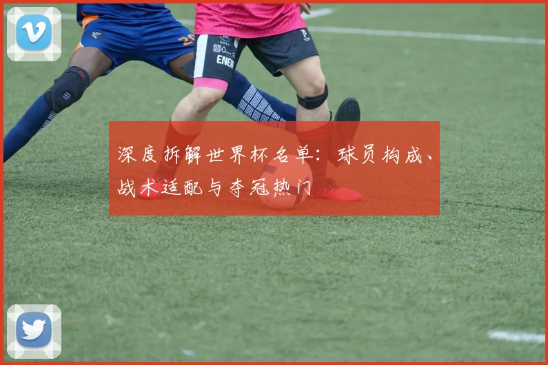 深度拆解世界杯名单：球员构成、战术适配与夺冠热门